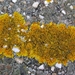 P1100536