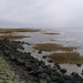 P1100537