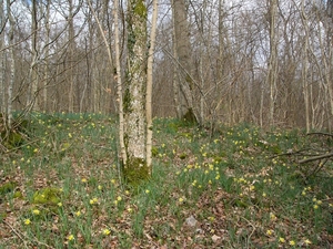 P1110411