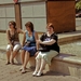 _DSC002812671432