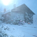 wintertuin