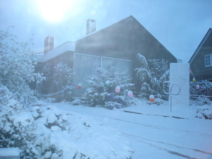 wintertuin