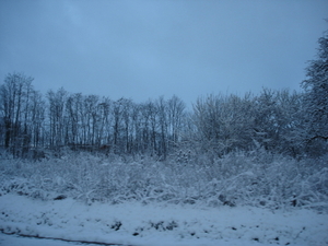 winter
