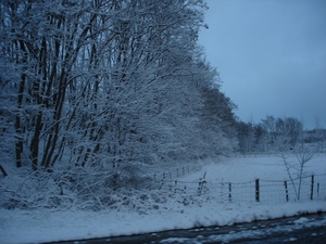 winter