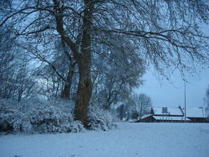 winter