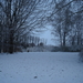 winter