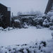 winterthuin