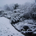 wintertuin