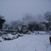 wintertuin