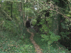 Spapenkouter