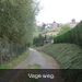 Vage weg