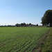 Richting Torenweg.