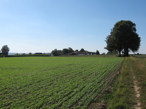 Richting Torenweg.