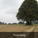 Torenweg, richting Boterhoek