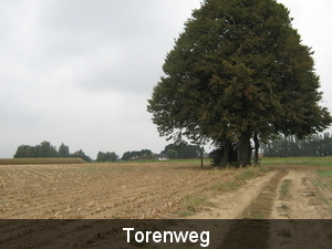 Torenweg, richting Boterhoek