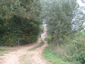 Haringsveldweg