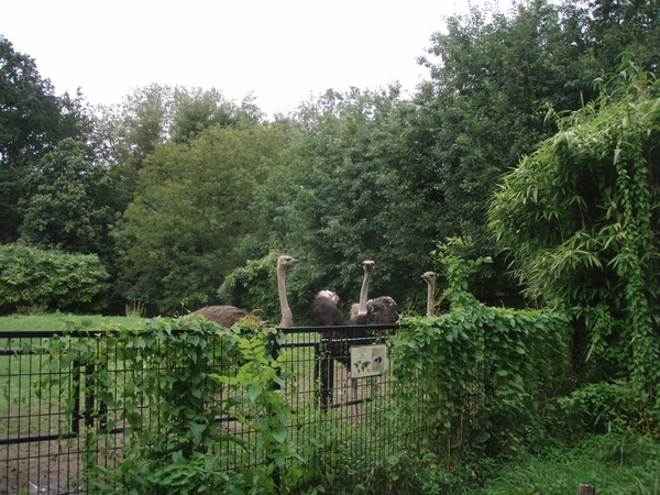 PC030006