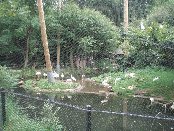 PC030008