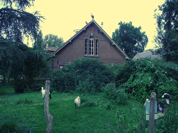 PC030009