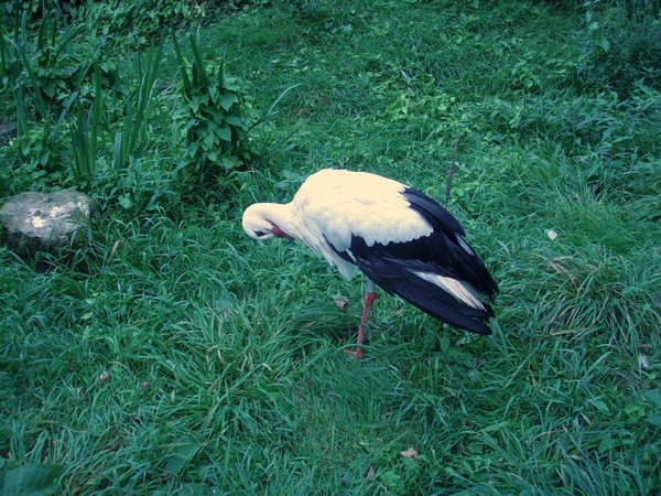 PC030011