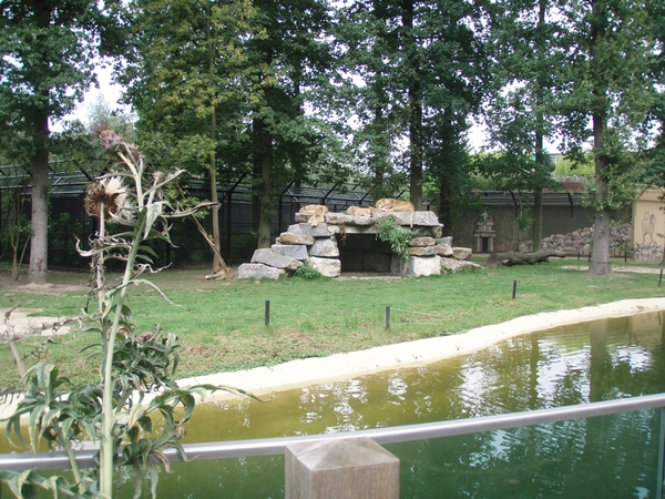 PC040022