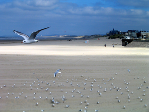 berck sur mer