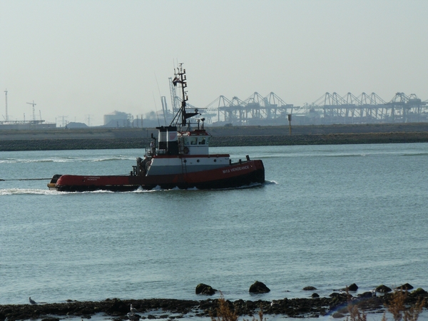 Kijkduin 007