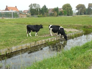 Kijkduin 096