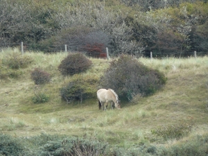 Kijkduin 163