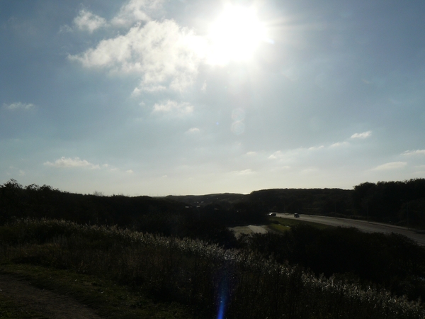 Kijkduin 208