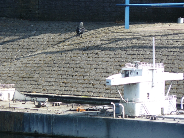 Kijkduin 273