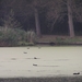 Kijkduin D 004