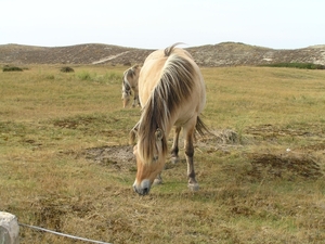 Kijkduin D 092