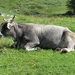 090823-30 Dienten 125