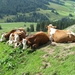090823-30 Dienten 129