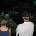 20080831 Efteling (115) (Small)