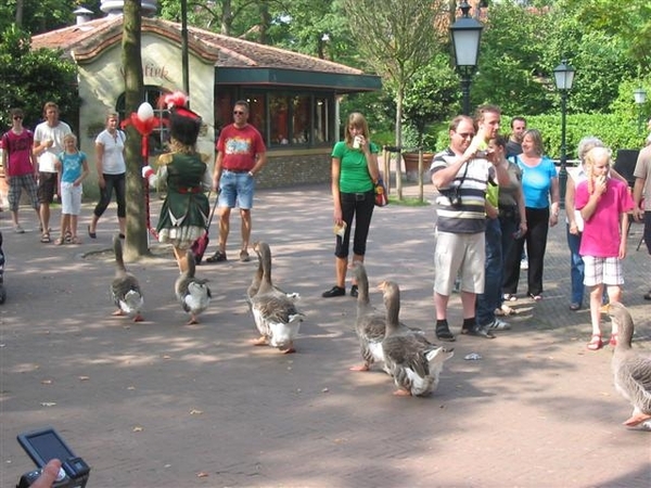 20080831 Efteling (46) (Small)