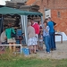 bruisend koningslo_0012