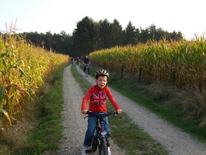 Rik 70 085
