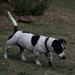 20090919_Boutchie 056