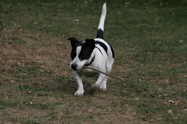 20090919_Boutchie 067