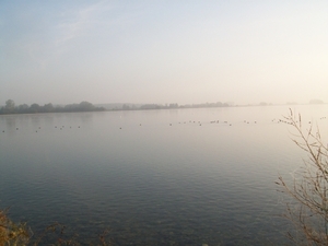 reeuwijk 018