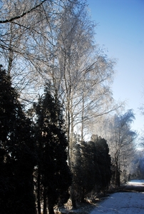 HUB_4772