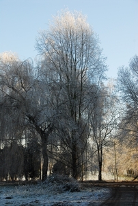 HUB_4786