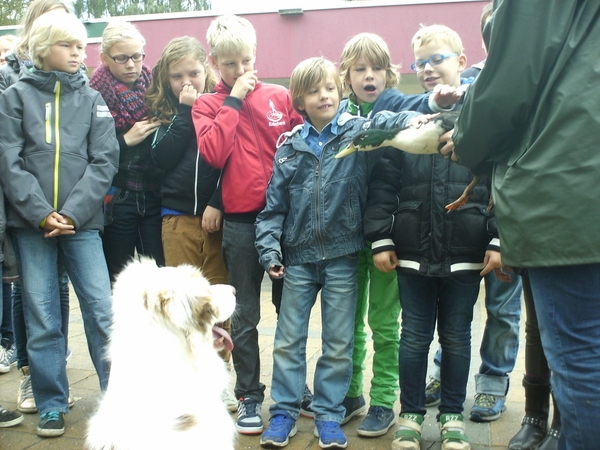 dierendag_en_kinderboekenweek_20131006_1811585667