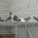 29sept09 004