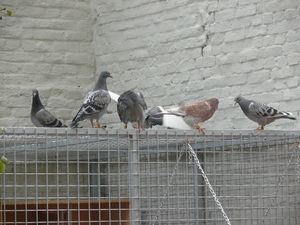 29sept09 004