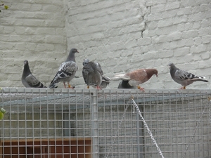 29sept09 005