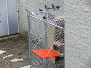 29sept09 011