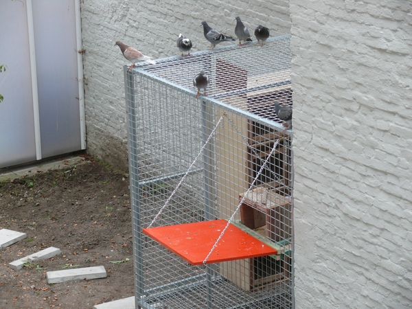 29sept09 011